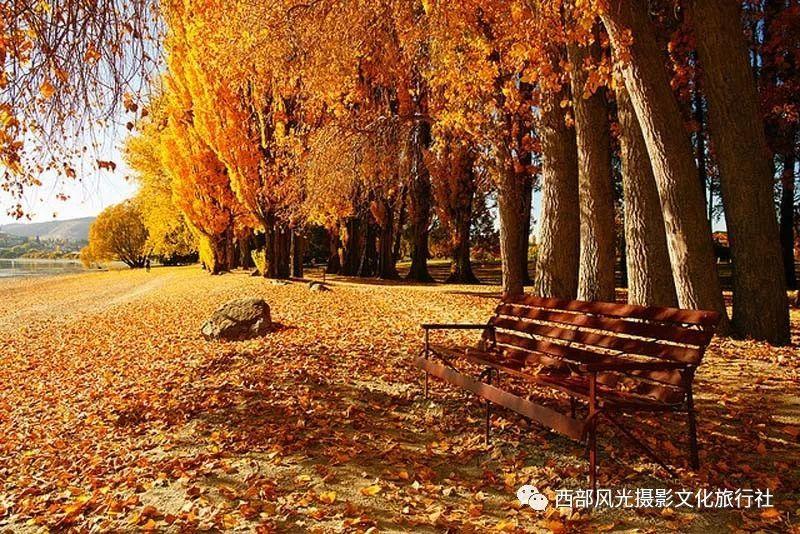 王治郅天赋很高，为何其成就却达不到姚明的高度？游戏画面